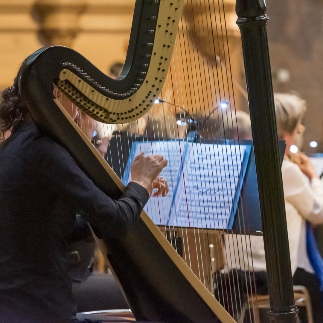 Harp