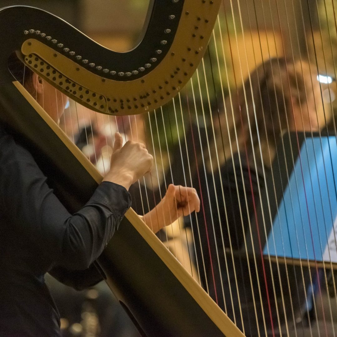 Harp